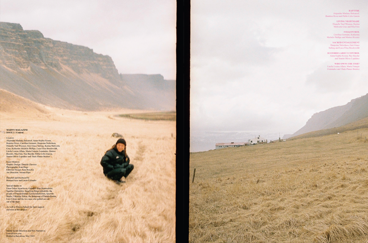 Maddn brand identity showcase