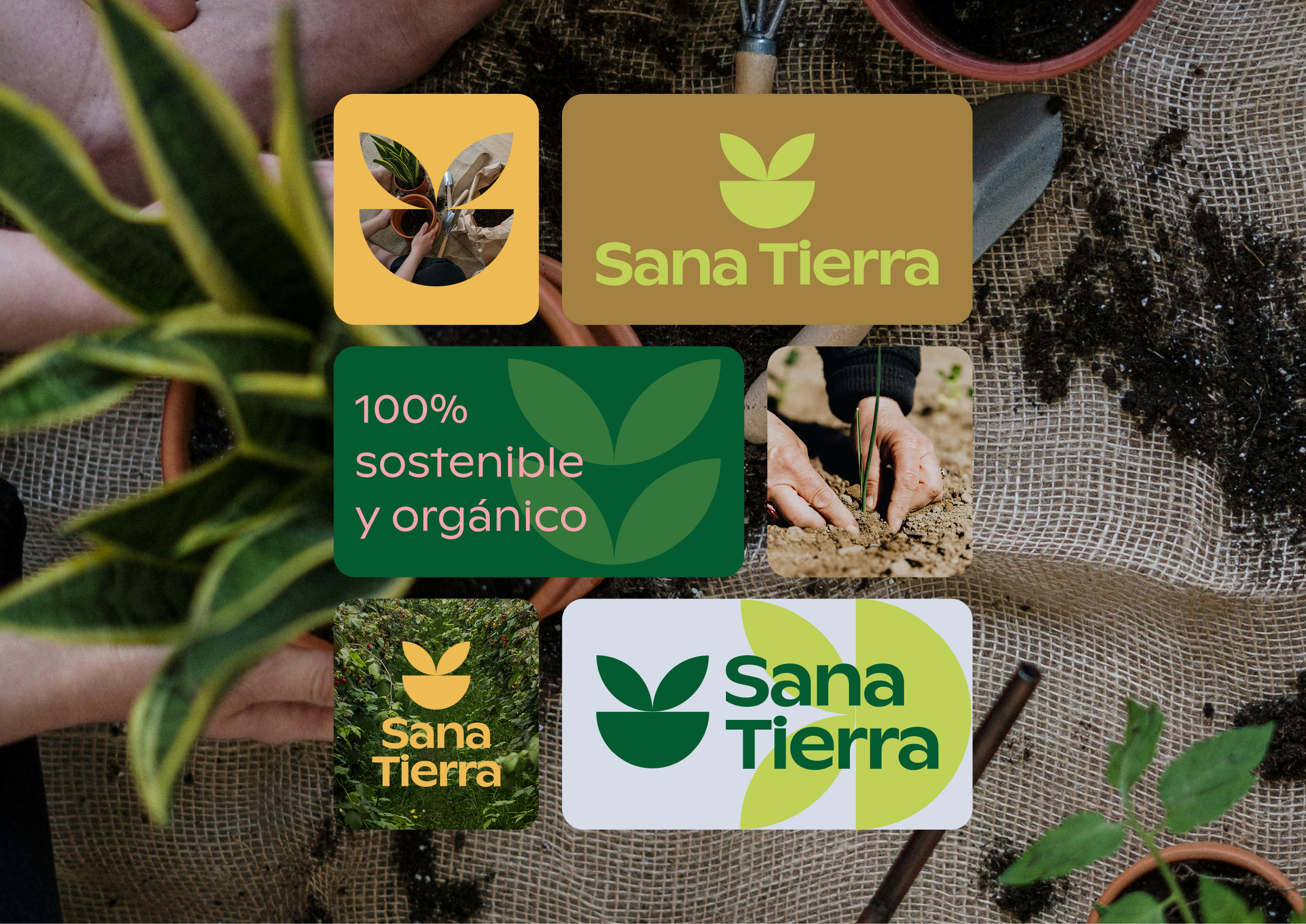 sana tierra brand identity showcase