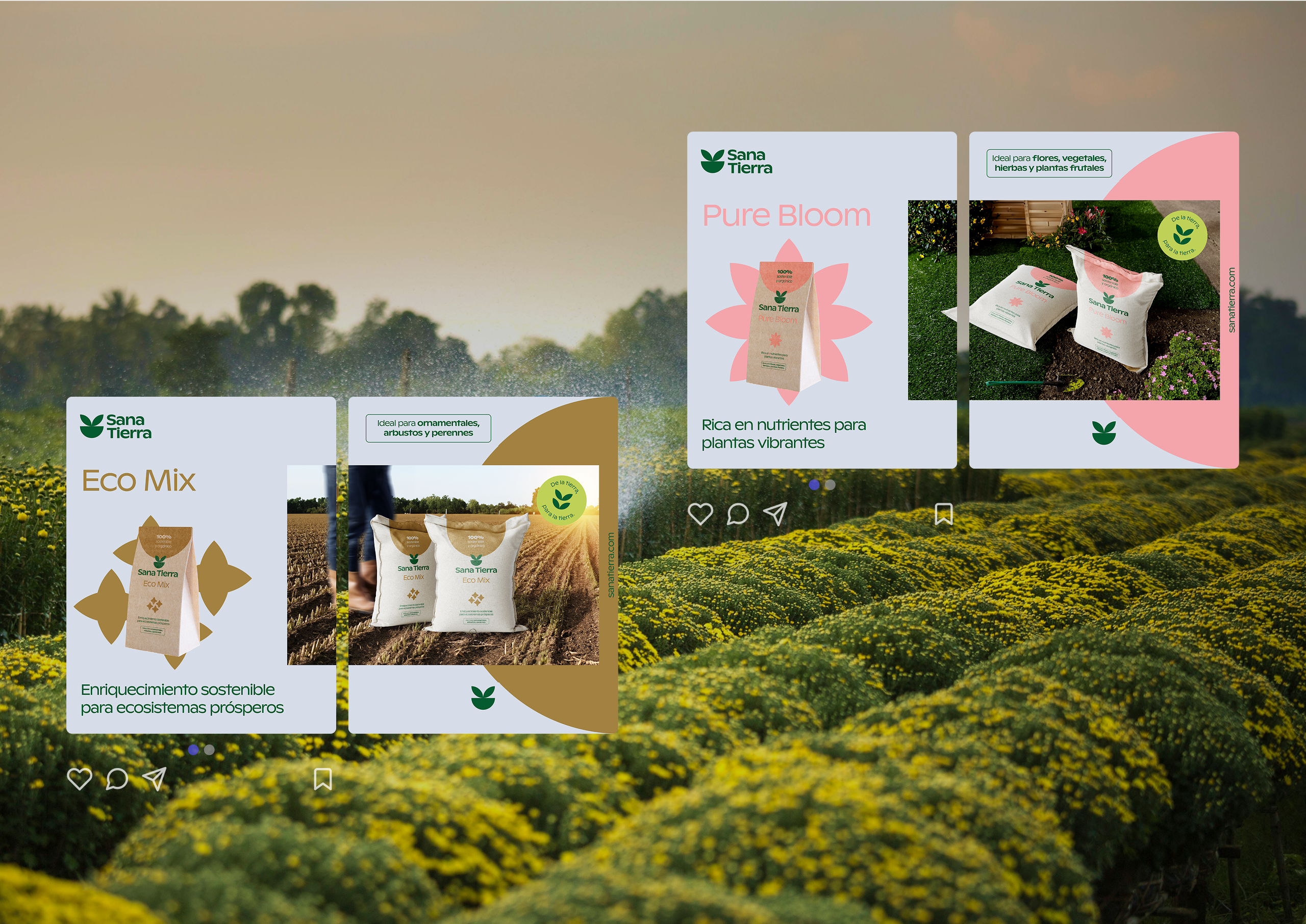 sana tierra brand identity showcase